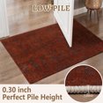 thumbnail image 2 of 2x3 Entryway Rug Bathroom Rugs for Front Door Bedroom Kitchen, Washable Vintage Print Carpet, Floor Mat with Non Slip Backing, 2 of 8