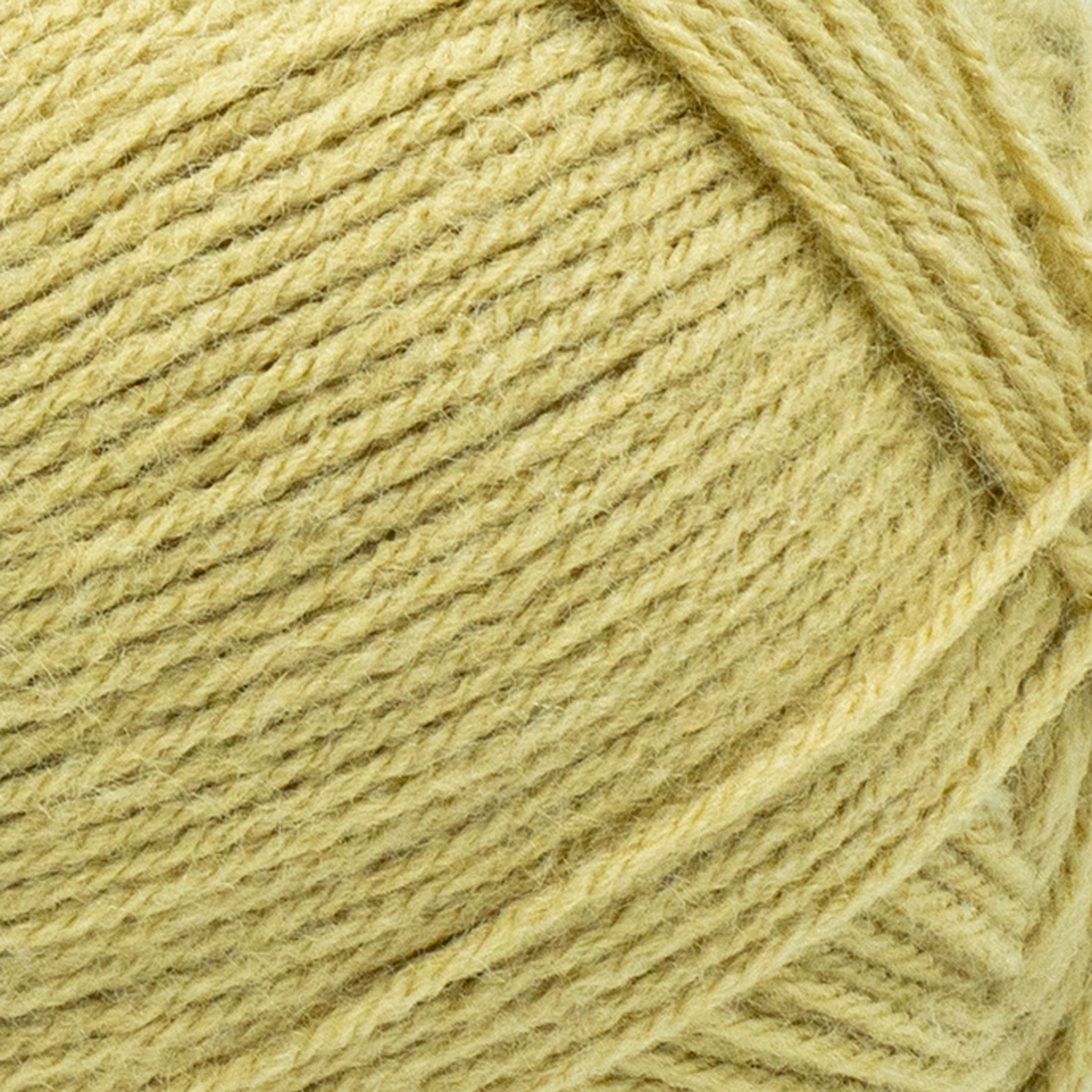Lion Brand Yarn Pound of Love Straw 4 Medium Worsted Yarn Beige 16 oz 1020 yards