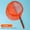 Orange, variant on 2PCS Swimming Pool Cleaning Net, Stainless Steel Retractable Kids Fishing Net for Beach, Park, Outdoor Play, with Optional Colors for Summer Fun
