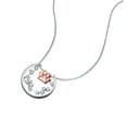 thumbnail image 2 of Paw Print Necklace for Women 925 Sterling Silver Moon Pendent Pet Dog Paw Heart Jewelry Necklace Pet Memorial Gift, 2 of 5
