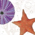 thumbnail image 2 of Great Art Now Shimmering Shells III by James Wiens, Framed Wall Art, 17.5W x 17.5H, 2 of 2