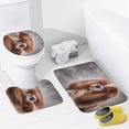thumbnail image 3 of SKYSONIC Non-Slip 3 Piece Bathroom Rug Set Cavalier King Charles Spaniel on Vintage Color Soft Contour Rug + Toilet Lid Cover + Bath Mat for Bathroom Decor, 3 of 6