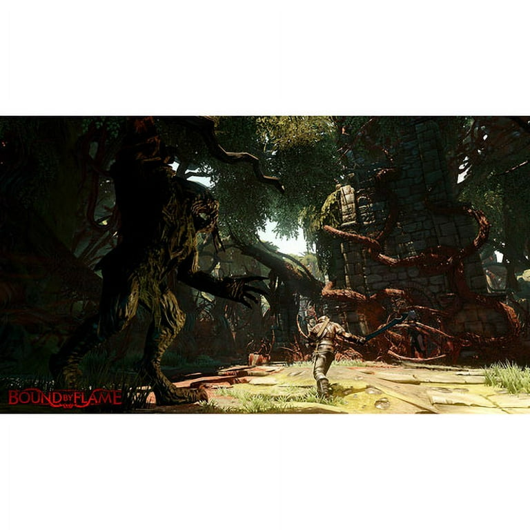 Bound by Flame (輸入版:北米) - PS4 Amazon.com: Bound by