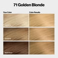 thumbnail image 5 of Revlon ColorSilk Permanent Hair Color, Bond Repair Complex, 71 Golden Blonde, 1 pack, 5 of 16