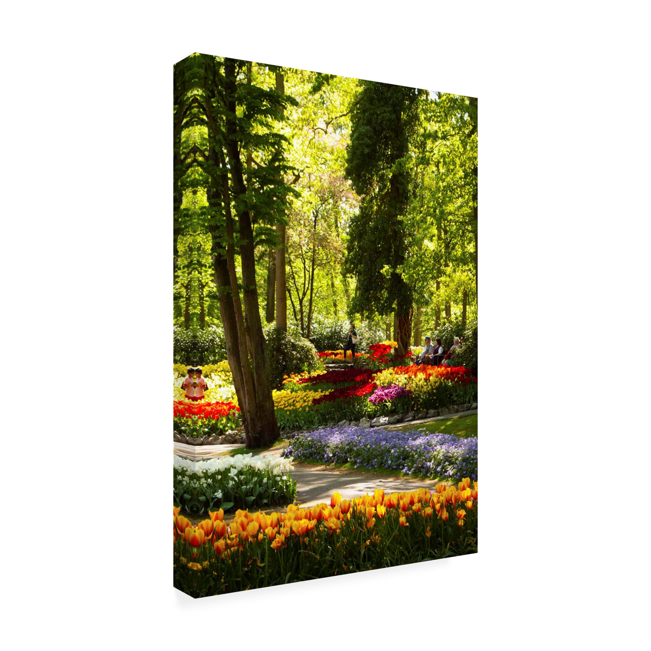 Canvas Wall Art - DANE 'Keukenhof Gardens 2' Wall Art for Living Room, Bedroom, or Office Décor by Trademark Fine Art - 12 x 19 Inches