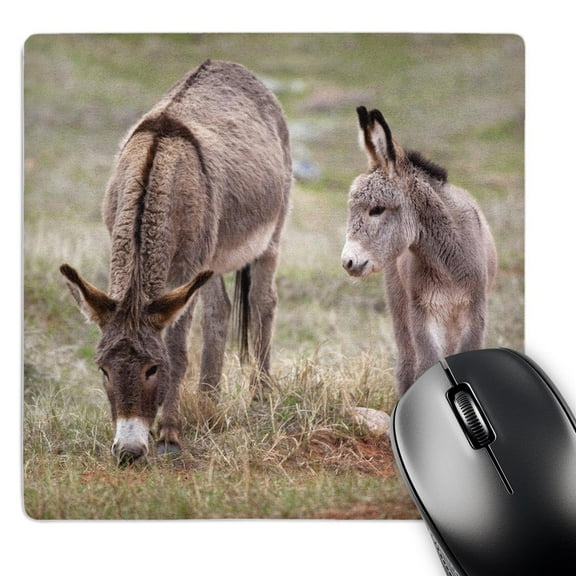 3dRose, South Dakota, Custer SP, Wild Burros, Donkeys - US32 JWI0526 - Jamie and Judy Wild, MousePad