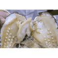 thumbnail image 4 of Collares Juntos Perlas Cultivadas Barrocas Broche En Chapa De Oro GREG J.M. Clásico, 4 of 6