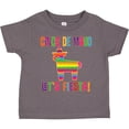 thumbnail image 3 of Inktastic Cinco De Mayo Pinata Lets Fiesta Girls Toddler T-Shirt, 3 of 5