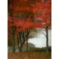 thumbnail image 2 of Kimberly, Allen 19x24 White Modern Wood Framed Museum Art Print Titled - Maple Tree Walk, 2 of 4