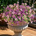 thumbnail image 2 of Artificial Fake Plants Flowers for Outdoor Spring Decor, 12 Bundles Faux Silk Mums for Planter Pot Colorful UV Resistant Look Real for Front Door Porch Patio Outside Yard(Purple Pink), 2 of 5