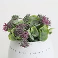thumbnail image 3 of Bornbridge Artificial Succulent Plants in Planter - Mini Succulent Plants - Valencia, 3 of 6