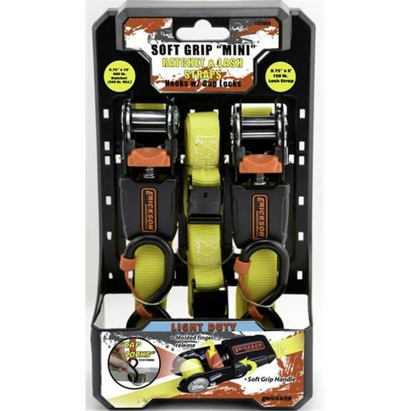 Erickson Manufacturing 31404 0.75 in. x 10 ft. 600 lbs Ratchet & Cam Lash Combo