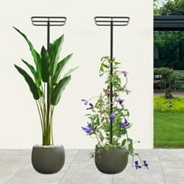 2 Pack Dragon Fruit Plant Trellis Adjustable Metal Garden Plant Climbing Support Plant Climbing Stand