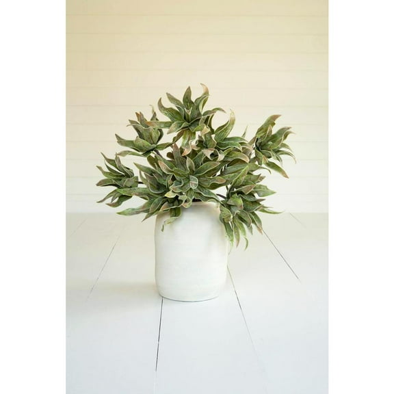 Kalalou Inc Botanica #2654