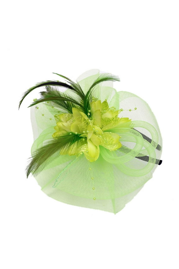 Hat Organizer for Baseball Caps Closet And Wedding Mesh N Fascinator Feathers Party Fashion Ribbons Male Hats And Caps