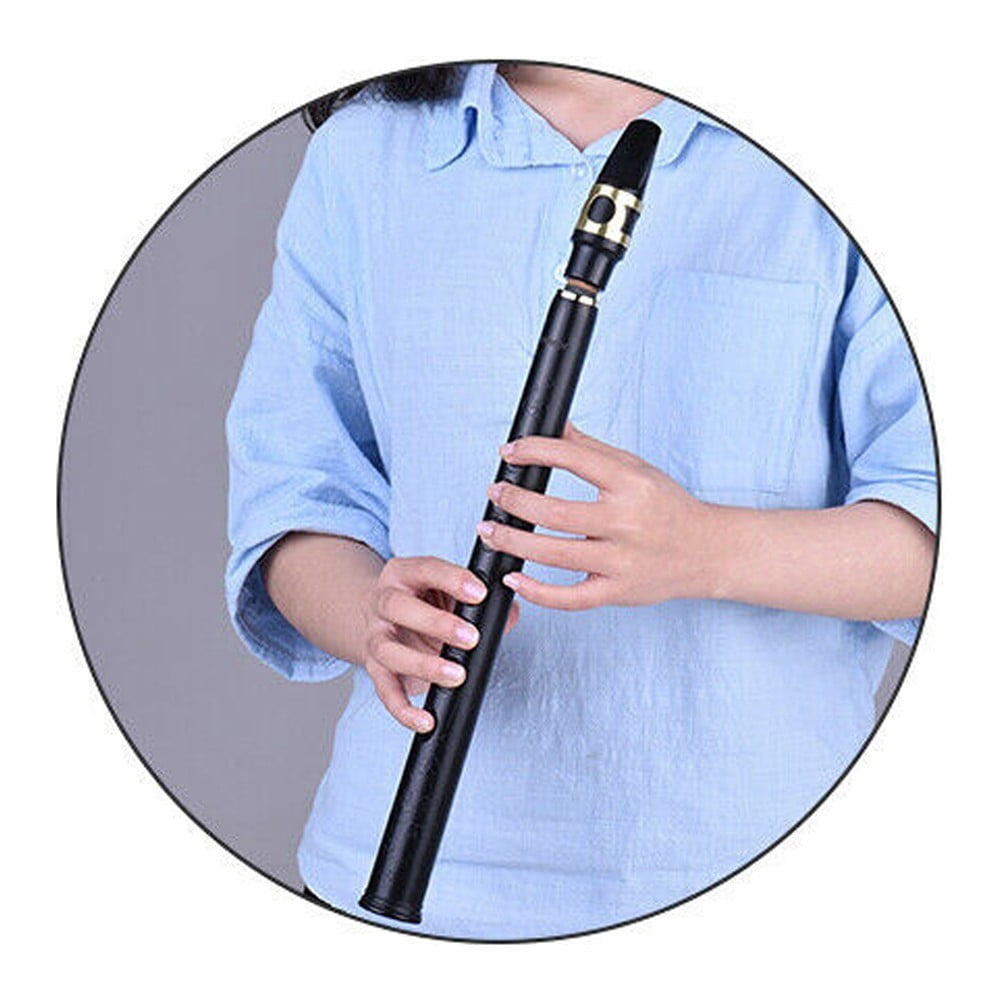 for Mini Pocket Saxophone Little Sax Instrument Set with Reeds for Pads Bag for Beginner