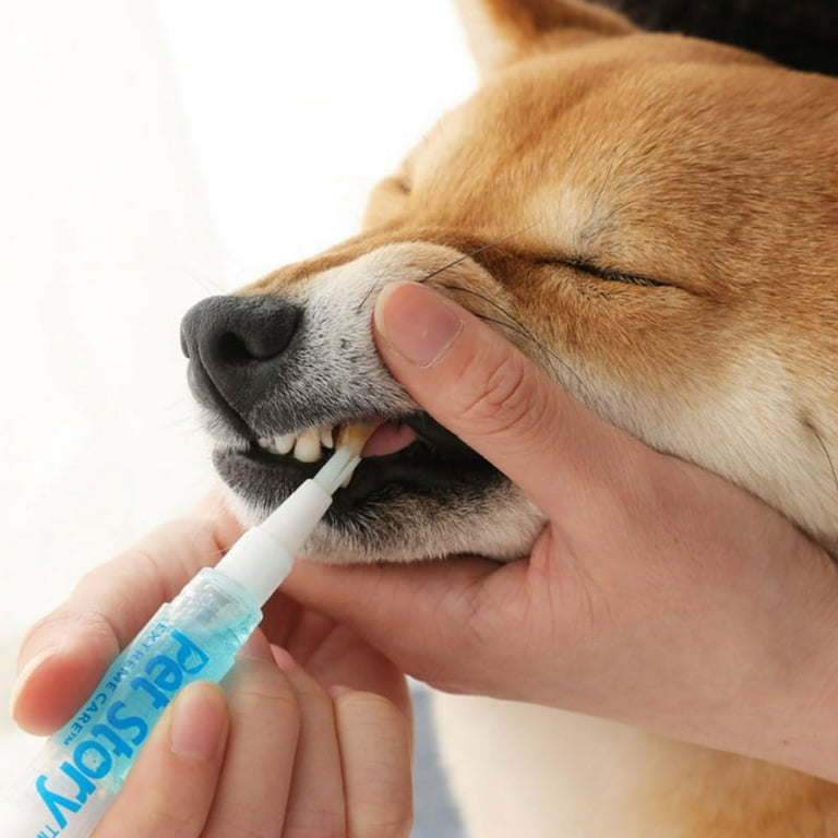 Dog teeth cleaning clearance tools