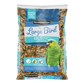 Pennington Large Bird Blend Bird Seed for Cockatoos; 3 lb. Bag