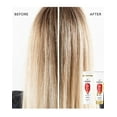 thumbnail image 4 of Pantene Pro-V Radiant Color Shine Shampoo - 12 oz, 4 of 4