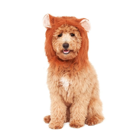 Rubie's Lion's Mane Pet Costume Accessory