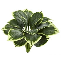 Nearly Natural 23" Variegated Hosta Polyester Artificial Plant (Set of 6), Green