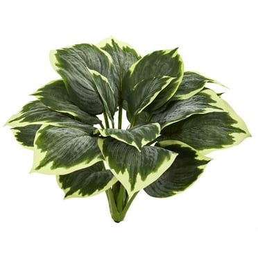 Nearly Natural 23" Variegated Hosta Polyester Artificial Plant (Set of 6), Green