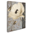 thumbnail image 3 of Trademark Fine Art "Poppy Brocade II" Canvas Art by Color Bakery, 3 of 3