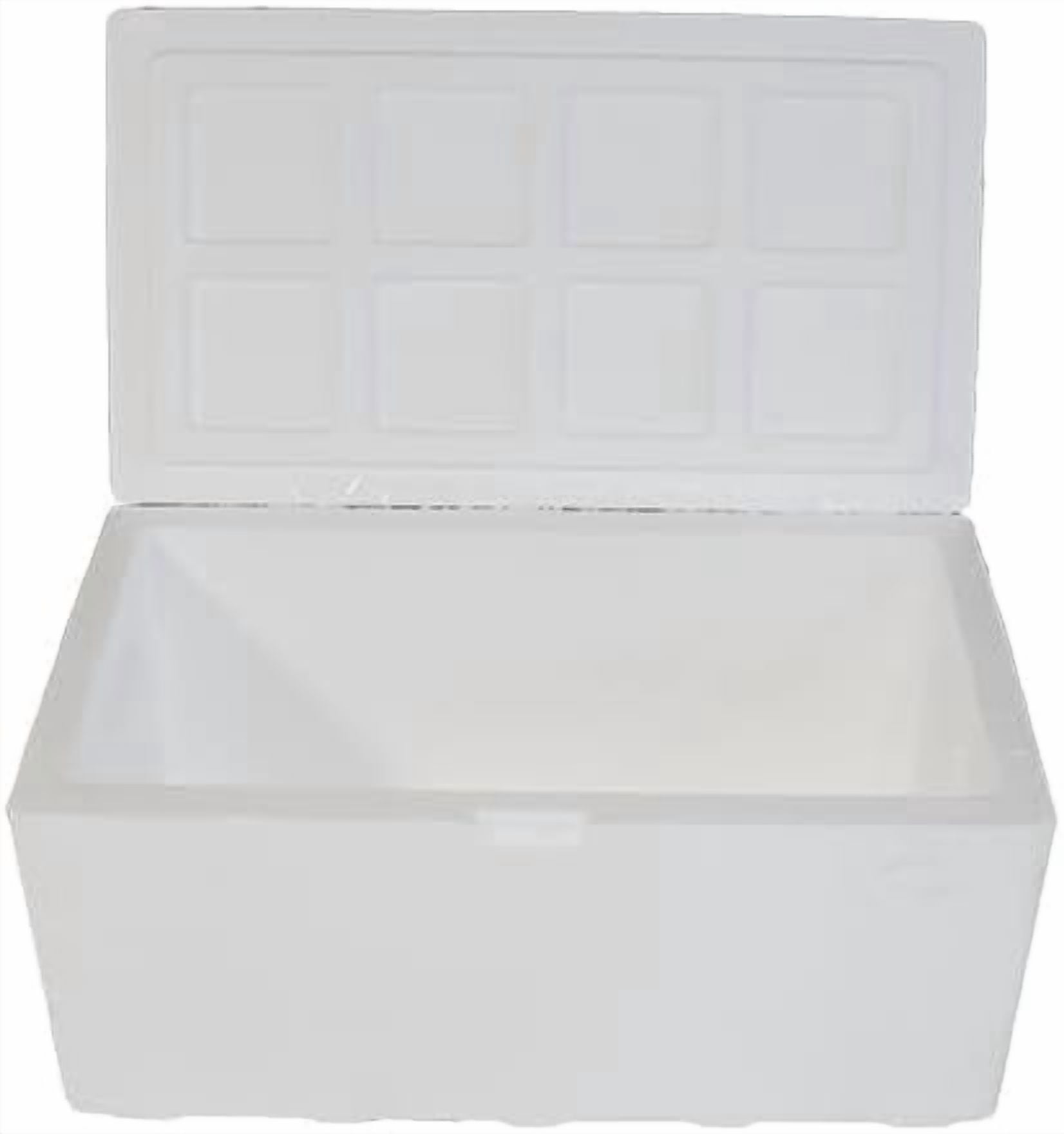 Air Sea Containers | Large Insulated Styrofoam Cooler | 90-Quart Extra Large | Lightweight | Styrofoam Cooler for Shipping | for Frozen Food