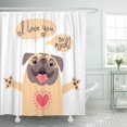 thumbnail image 1 of ABPHQTO Cortina de ducha The Birthday Other Holiday Cute Pug y declaración 152x180 cm ABPHQTO PKNMT60x72Shower-6376, 1 of 2