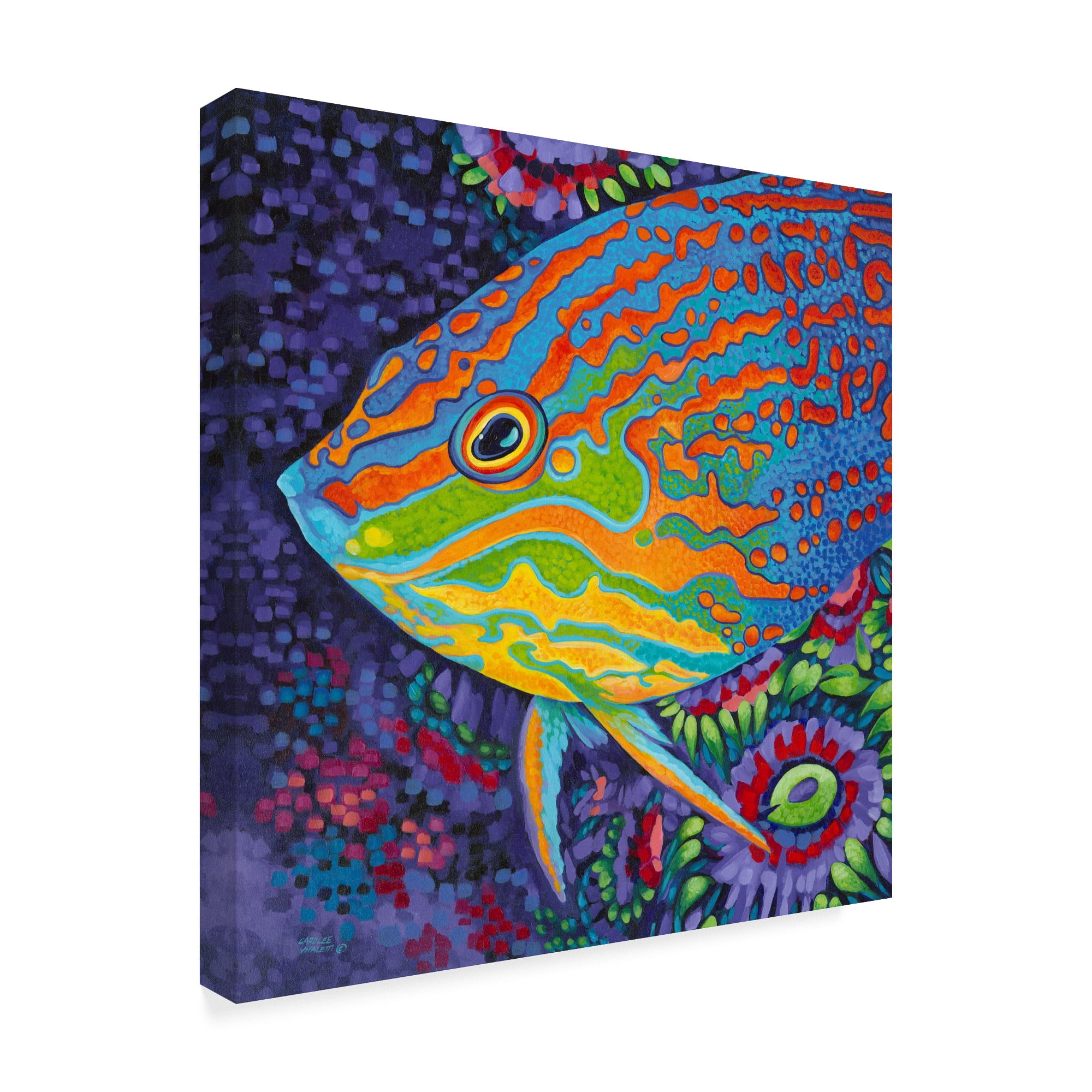 Trademark Fine Art 'Brilliant Tropical Fish I' Canvas Art by Carolee Vitaletti