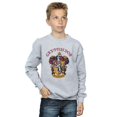 thumbnail image 3 of Harry Potter Boys Gryffindor Cotton Sweatshirt, 3 of 6