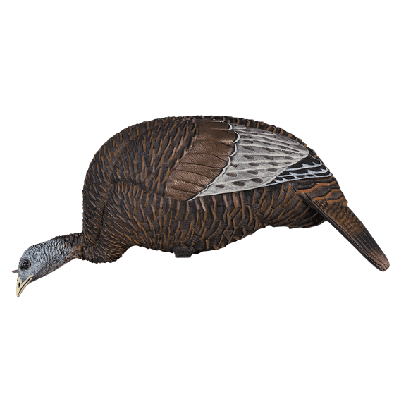 Flextone Hunting Lightweight Ultra Realistic Lifelike Plastic Outdoor Thunder Chicken Feeding Hen Turkey Decoy