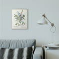 thumbnail image 2 of Stupell Industries Botanical Plant Illustration Flowers And Leaves Vintage Design Framed Wall Art by Unknown, 2 of 8