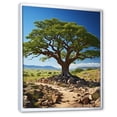thumbnail image 2 of Designart "Splendid African Green Tree" Floral & Botanical Floater Framed Canvas Print, 2 of 7