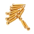 thumbnail image 3 of Pickup Screws, Iron Guitar Neck Mounting Screws Embedded Rustproof 12Pcs  For Bass Gold, 3 of 8