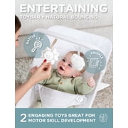 Baby Delight Alpine Portable Baby Bouncer, 3-Position Recline, Lightweight & Foldable, Driftwood Grey
