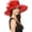 Red, variant on Foldable Organza Wide Brimmed Hat, Victorian Style Sun Hat, Adjustable Beach Wedding Hat, Suitable for Outdoor Activities in Summer(Black)