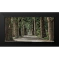 thumbnail image 2 of Prime, Marcus 24x14 Black Modern Framed Museum Art Print Titled - Wilderness Stroll, 2 of 5