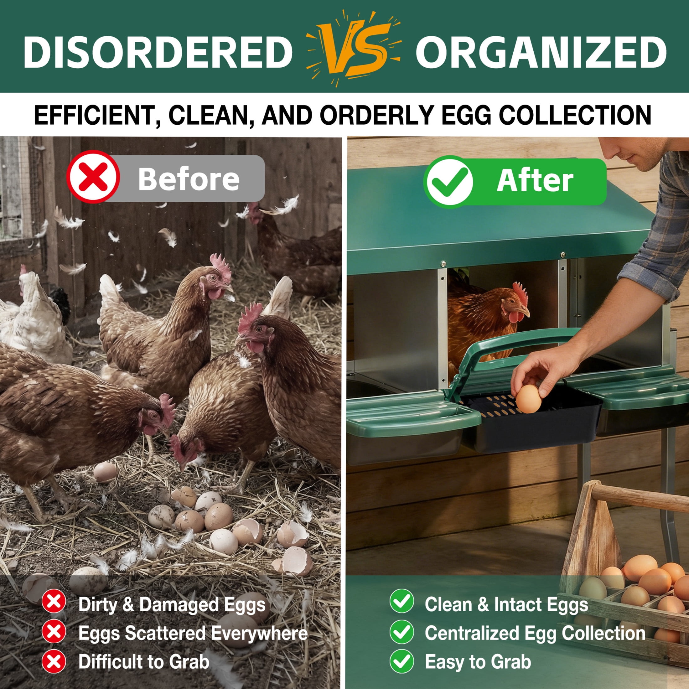 Noble House 3-Hole Outdoor Steel Chicken Nesting Box with Legs and Egg Collection Tray, Hens Laying Box, Green