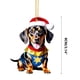 thumbnail image 3 of Sombrero de Navidad Perro Dachshund Ganfancp Decoración Colgante Acrílico Plano 1X amuleto, 3 of 6
