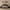 Walnut, variant on 3-Pieces Retro Style Bedroom Sets, Bedroom Sets with Full Size Wood Platform Bed and Two Nightstands, No Box Spring Required, Easy Assembly, Dark Walnut