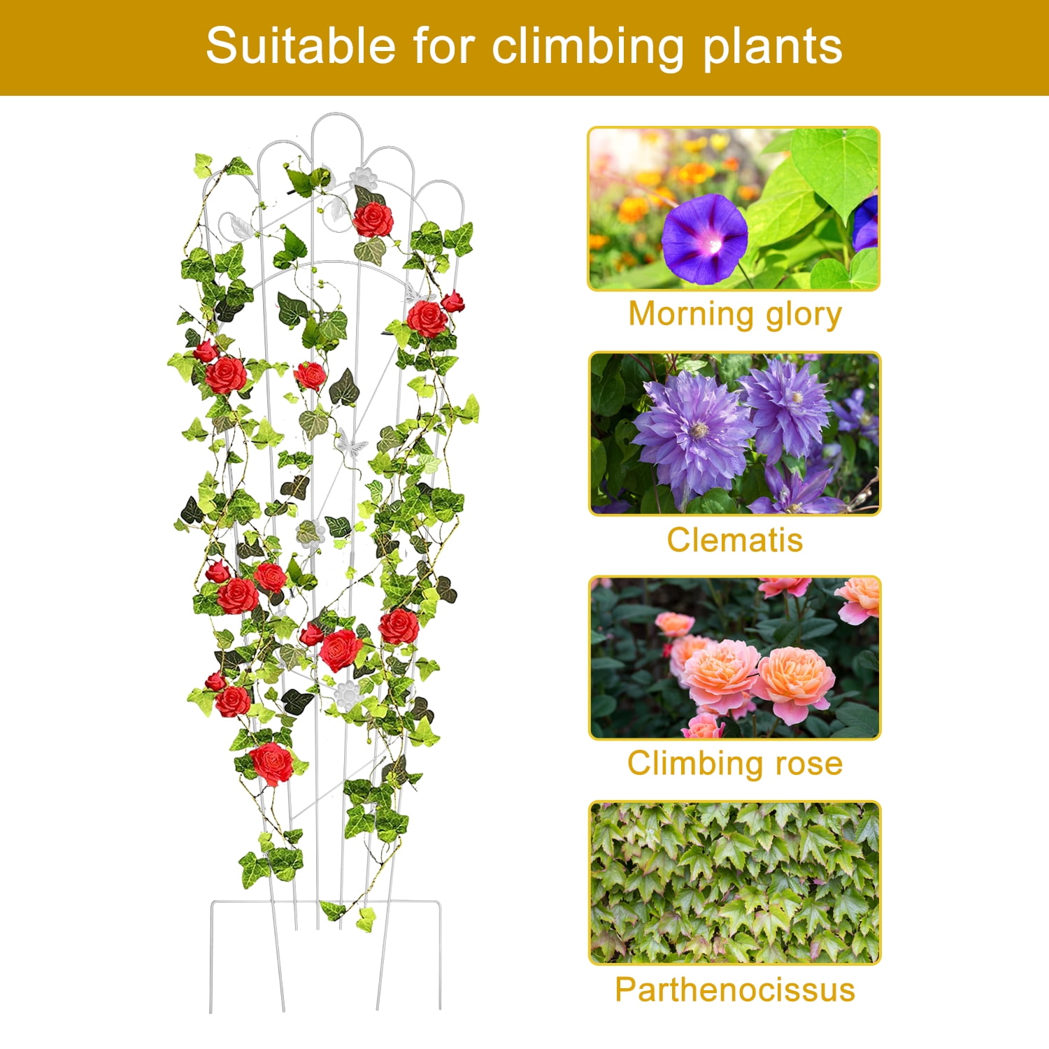 Urban Deco 2 Pack 60 Inch Detachable Trapezoidal Garden Trellis for Climbing Plants Sturdy Black Patio Plant Trellis Plants Support Metal Trellis for Climbing Rose Vegetable Flower, Backyard (White)