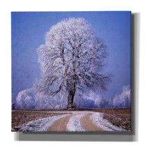 Epic Graffiti 'The Sounds Of Silence' by Philippe Sainte-Laudy, Canvas Wall Art, 37"x37"