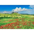 thumbnail image 3 of Krahmer, Frank 14x11 Black Modern Framed Museum Art Print Titled - Farmhouse with Cypresses and Poppies- Val dOrcia- Tuscany, 3 of 5