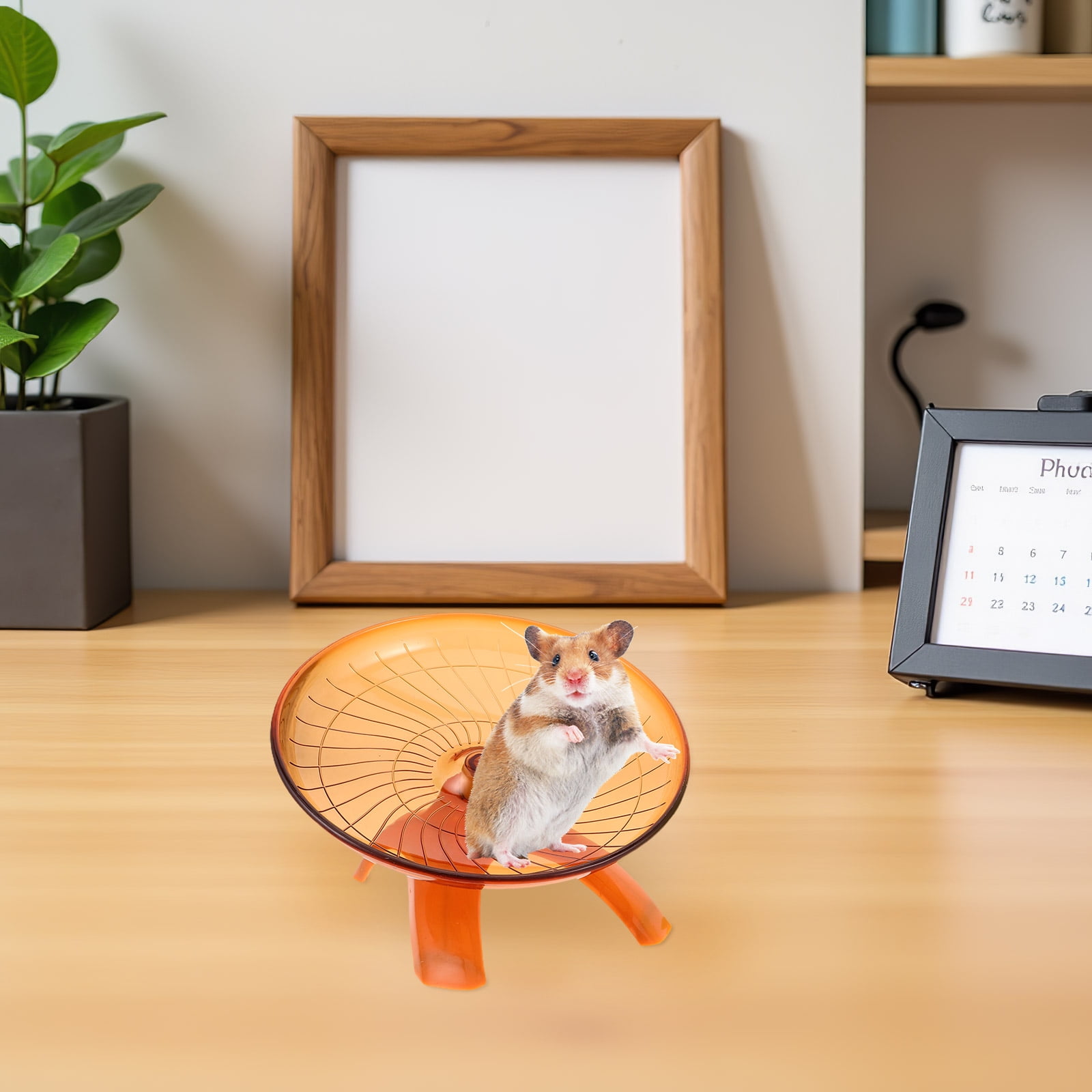 PTOOTP 2Pcs Silent Hamster Wheel for Small Pets Quiet Running Saucer Exercise Wheel Assorted Colors