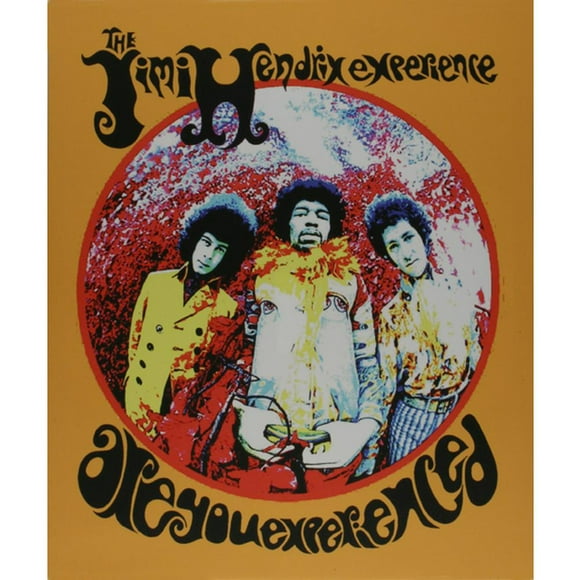 Jimi Hendrix - Tableau Moyen Expérimenté