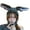 Grey, variant on Eosunjian Women Winter Hat Long Ear Bunny Ears Solid Color Fluffy Earflap Keep Warm Thick Lightweight Soft Winter Beanie Headdress White