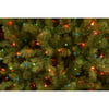 National Tree Company Multi-color Prelit Incandescent Green Hinged Fir Christmas Tree, 9'
