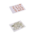 thumbnail image 1 of Regalos Hechos Accesorios De 26 Unids Flores Secas Naturales Forma De Azar Caliente Para De Bricolaje Adorn, 1 of 9