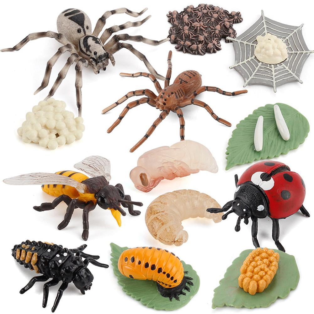 Realistic Spider Growth Cycle Figurine Kids Simulated Toys Animal W7J2 